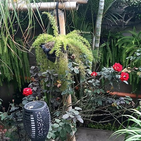 Hospedaje Eli Панахачел Екстериор снимка